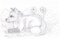 Little fox